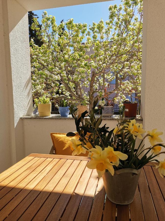 Apartman Soto Пироваць Екстер'єр фото